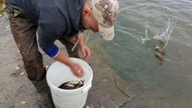 У річку Турію запустили сотні кілограмів риби
