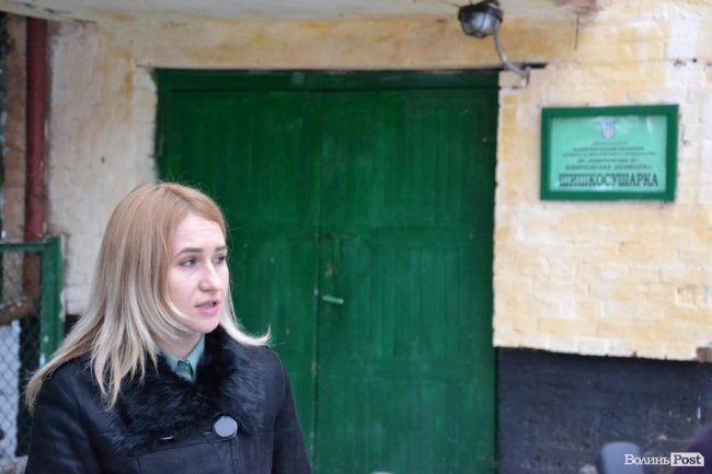 Банк насіння, плантації, шишкосушарки: як на Волині готують «нові ліси»