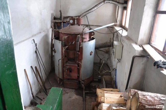 Банк насіння, плантації, шишкосушарки: як на Волині готують «нові ліси»