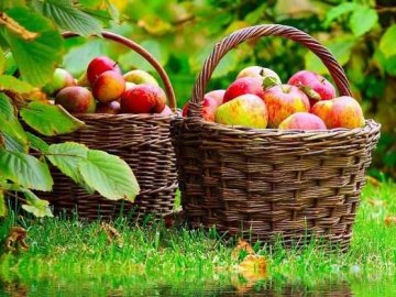 Погода в Луцьку та Волинській області на п'ятницю, 20 серпня