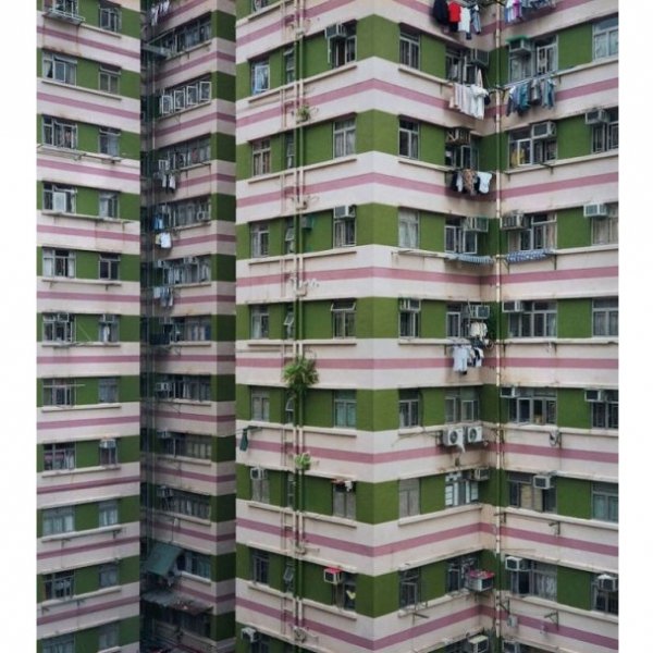 Нетрі Гонконгу. ФОТО