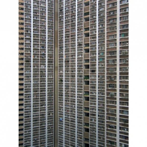 Нетрі Гонконгу. ФОТО