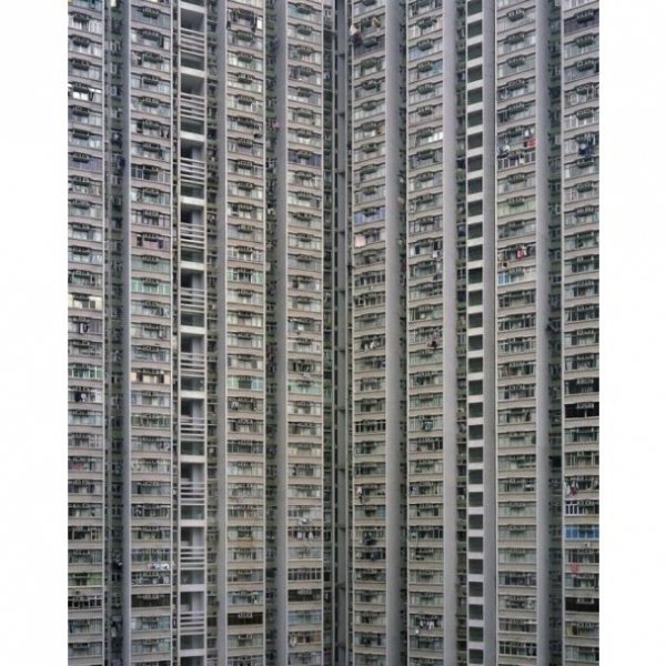 Нетрі Гонконгу. ФОТО