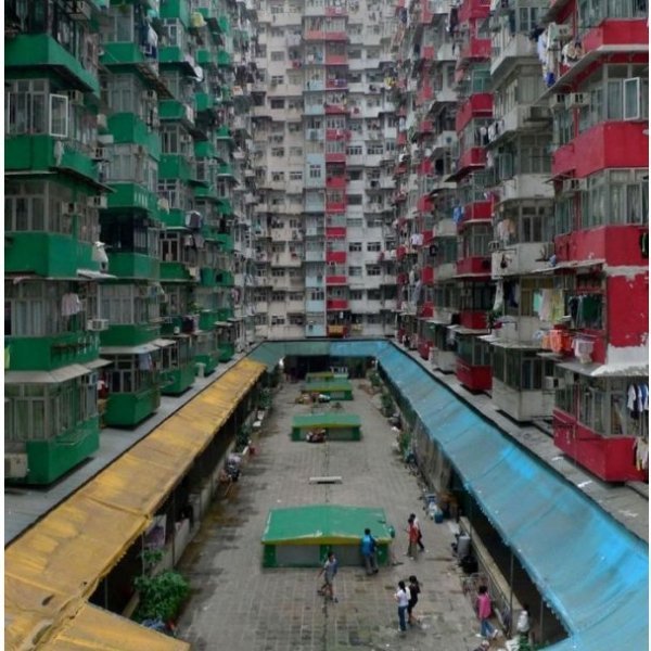 Нетрі Гонконгу. ФОТО