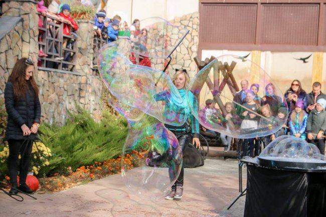 У Луцькому зоопарку відгуляли свято гарбуза: як це було. ФОТО