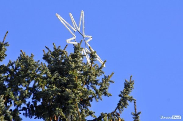 Новий Рік приходить: Луцькі ялинки прикрашають