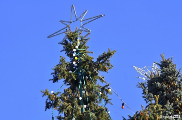 Новий Рік приходить: Луцькі ялинки прикрашають