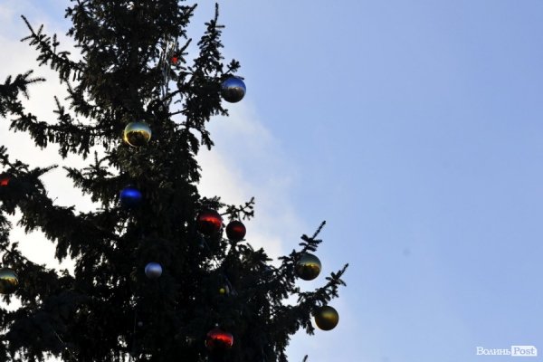 Новий Рік приходить: Луцькі ялинки прикрашають