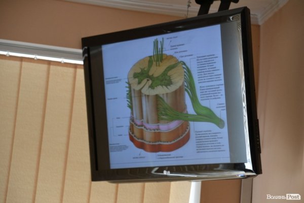 День депутата по-волинськи: проблеми і здобутки ліцею-інтернату.  ФОТО