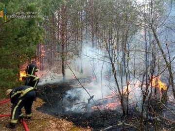 На Волині за день горіло 24 гектари лісу