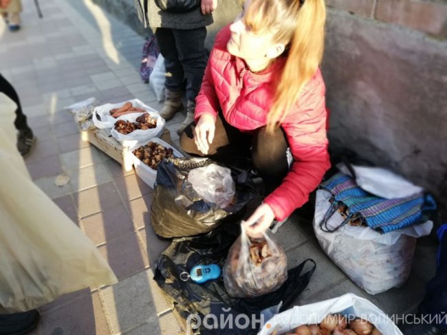 Скільки коштує кілограм грибів на Волині. ФОТО
