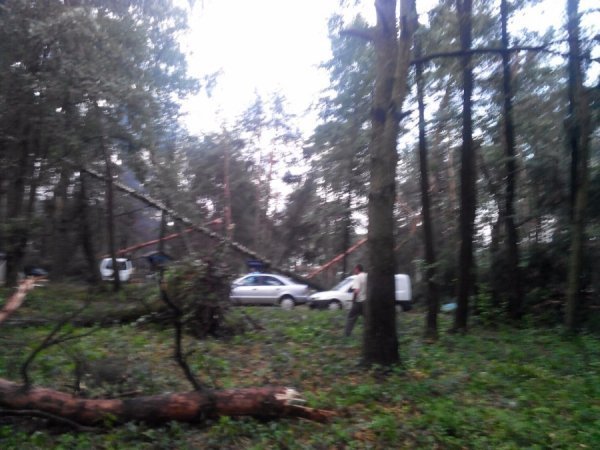 З'явилося відео наслідків буревію у Шацькому районі. ФОТО. ВІДЕО
