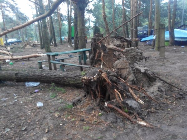 З'явилося відео наслідків буревію у Шацькому районі. ФОТО. ВІДЕО