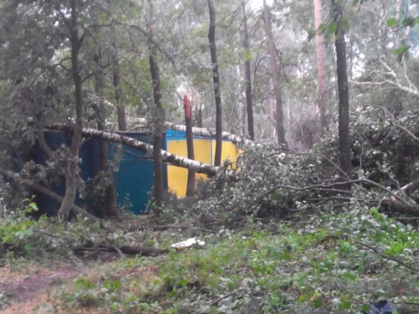 З'явилося відео наслідків буревію у Шацькому районі. ФОТО. ВІДЕО