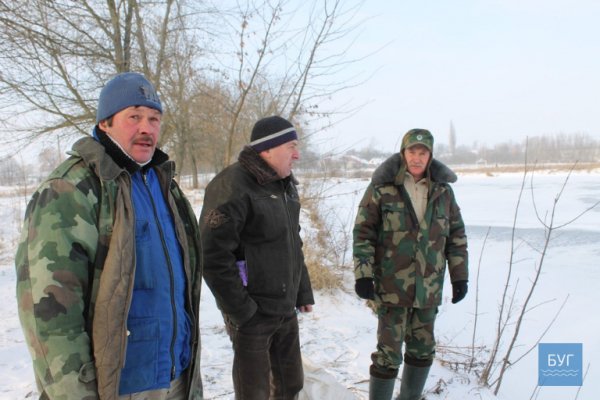 Лебеді на Волині опинилися у крижаній пастці