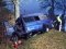 У Польщі мікроавтобус із українцями в’їхав у дерево: є загиблі