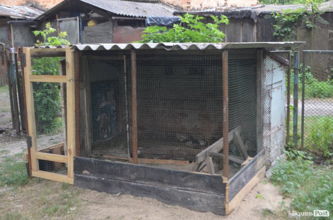 Сарайчик з курми