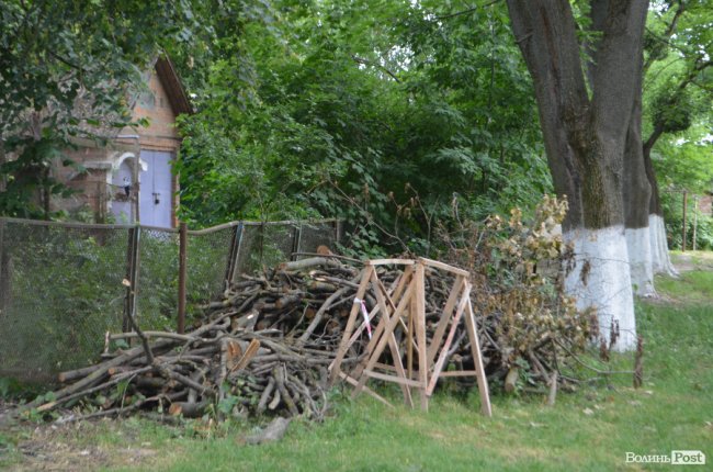 Тушки ворон і курячий послід: лучанин нарікає на безлад поблизу гуртожитків. ФОТО