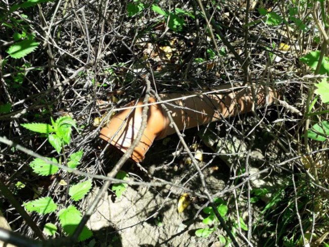 У Володимирі в річку скидають нечистоти. ФОТО