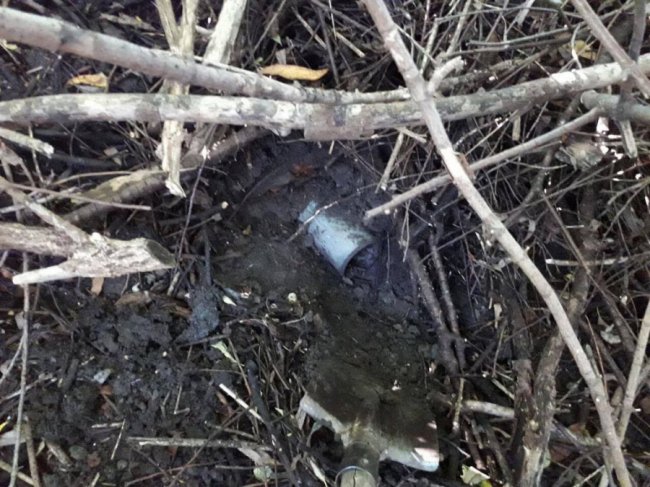 У Володимирі в річку скидають нечистоти. ФОТО