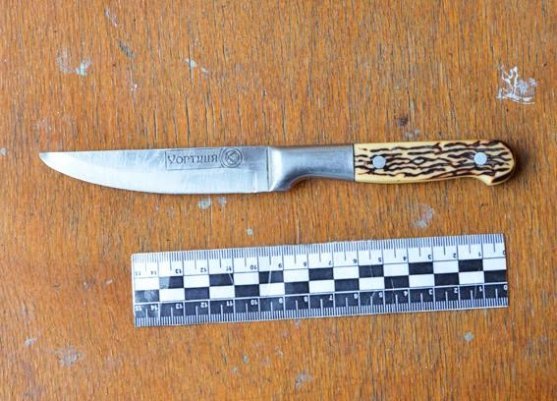 Волинянка зарізала чоловіка. ФОТО