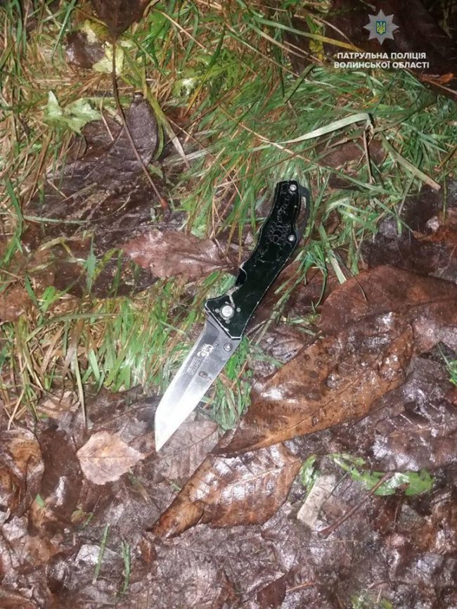 Напад на патрульного у Ковелі: подробиці шарпанини. ВІДЕО