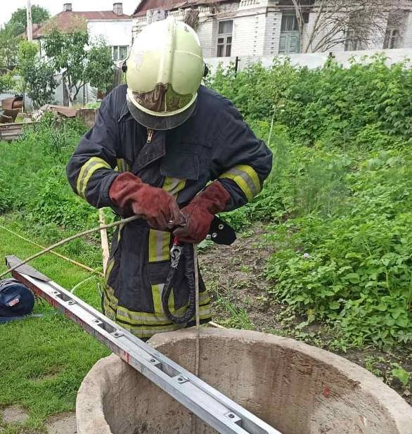 Глибина – 25 метрів: волинські рятувальники дістали із колодязя цуценя
