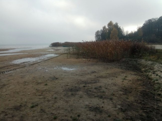 На Світязі працює робоча група, яка обстежує причини обміління озера 