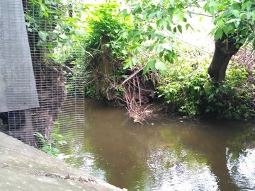 В одному з волинських міст в річку зливають нечистоти