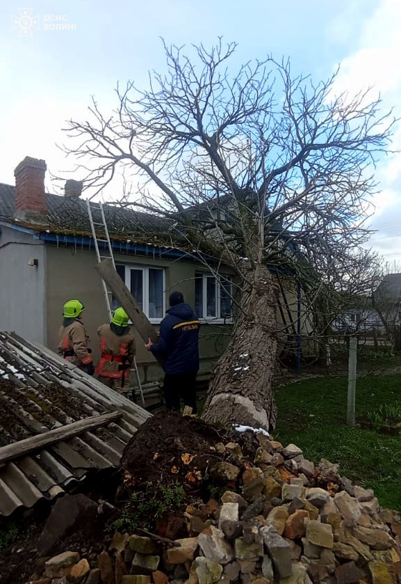 На будинок бабусі на Волині обвалилося дерево