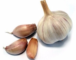 7 природних антибіотиків, які можна придбати на Старому ринку