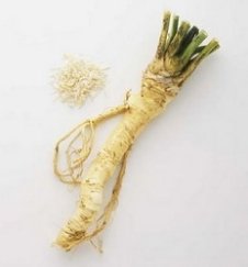 7 природних антибіотиків, які можна придбати на Старому ринку