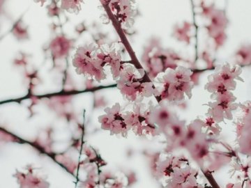 Погода у Луцьку на завтра, 7 квітня