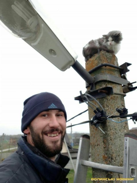У селі під Луцьком кошеня добу просиділо на високому стовпі. ФОТО