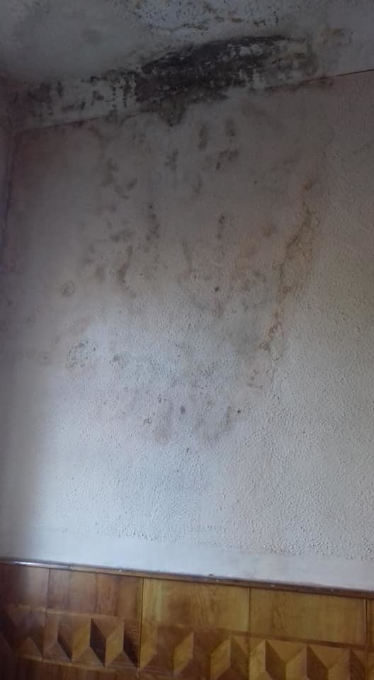 Грибок нищить архітектурну пам’ятку на Волині. ФОТО