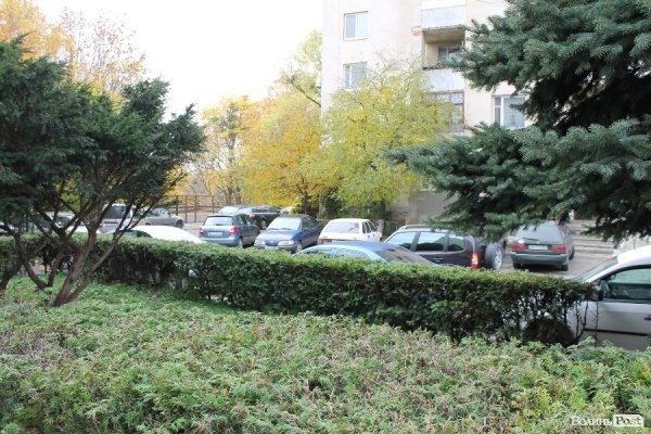 «Якщо жінка забеременніла в лісі, то що, лісники мають аліменти платити?» - головний лісівник Волині