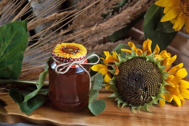 У лісах Волині – майже 2 тисячі вуликів. ФОТО