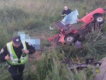 Медики розповіли про стан хлопця, який постраждав у автотрощі в Боголюбах
