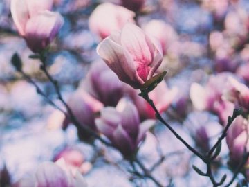 Погода в Луцьку та Волинській області на четвер, 2 квітня