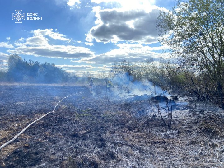 Через людську недбалість на Волині полум’я охопило 4 гектари