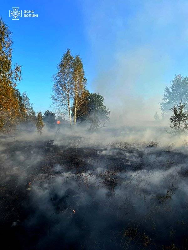На Волині вирувала пожежа в автентичному селі. ФОТО