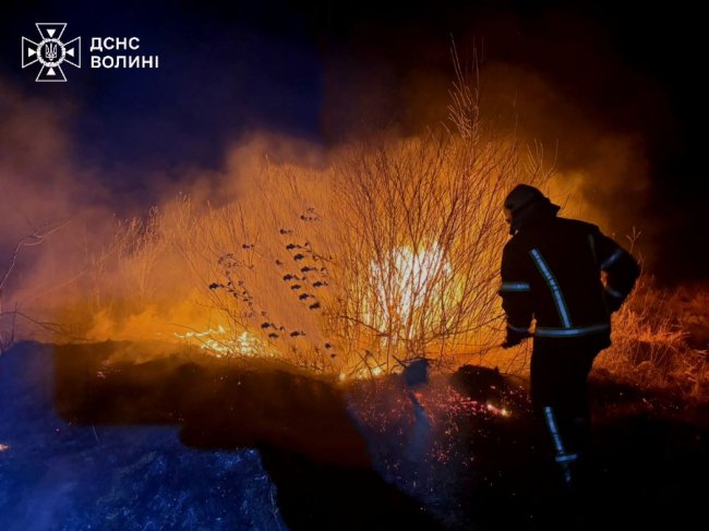 На Волині вогонь із сухої трави перекинувся на будівлі 