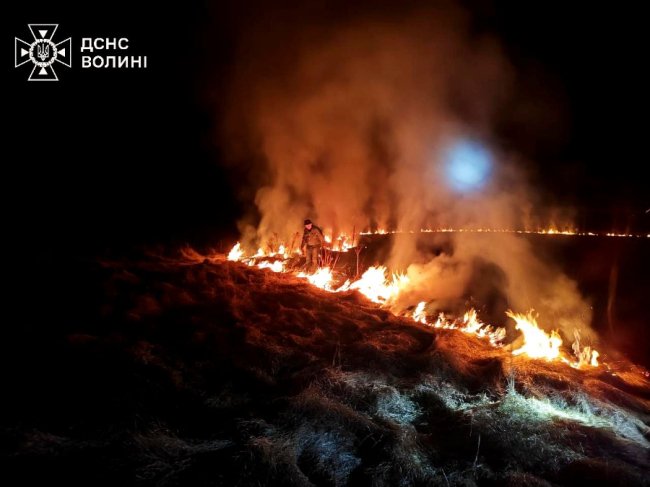 На Волині вогонь із сухої трави перекинувся на будівлі 
