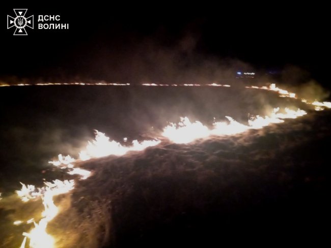 На Волині вогонь із сухої трави перекинувся на будівлі 