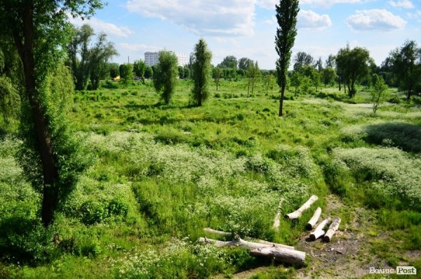 У луцького довгобуду над Стиром з’явився інвестор