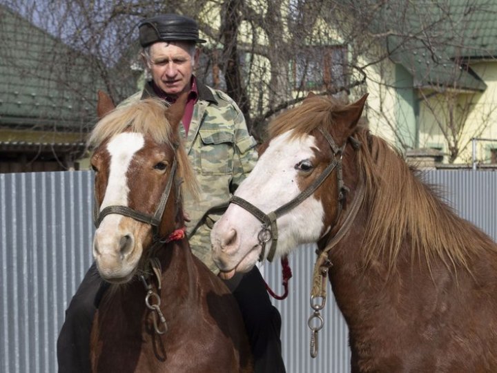 Волинянин понад 20 років їздить містом на підводі 