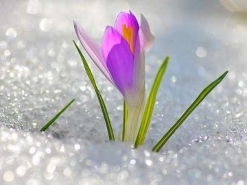 Погода в Луцьку та Волинській області на четвер, 11 березня