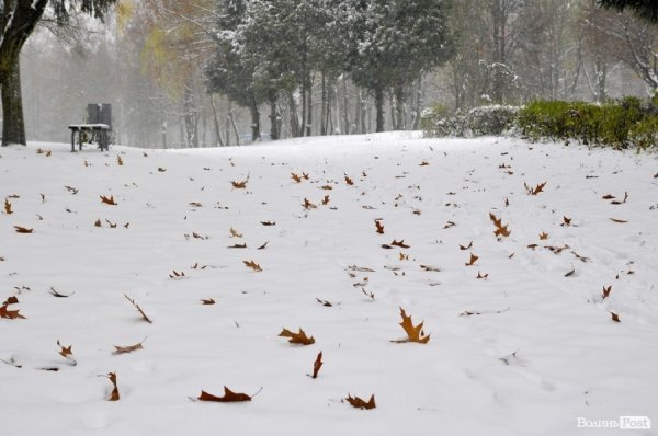 Фото снігу в Луцьку
