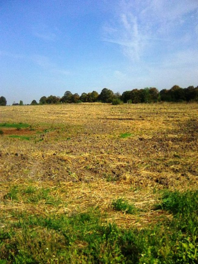 Волинський аграрій зробив бізнес на старому закинутому саду 