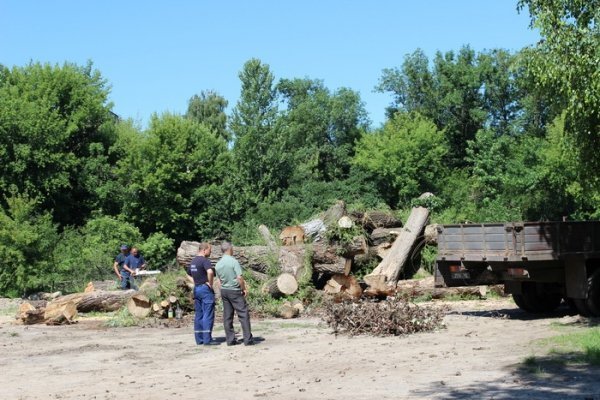 Як прибирають Сапалаївку. ФОТО